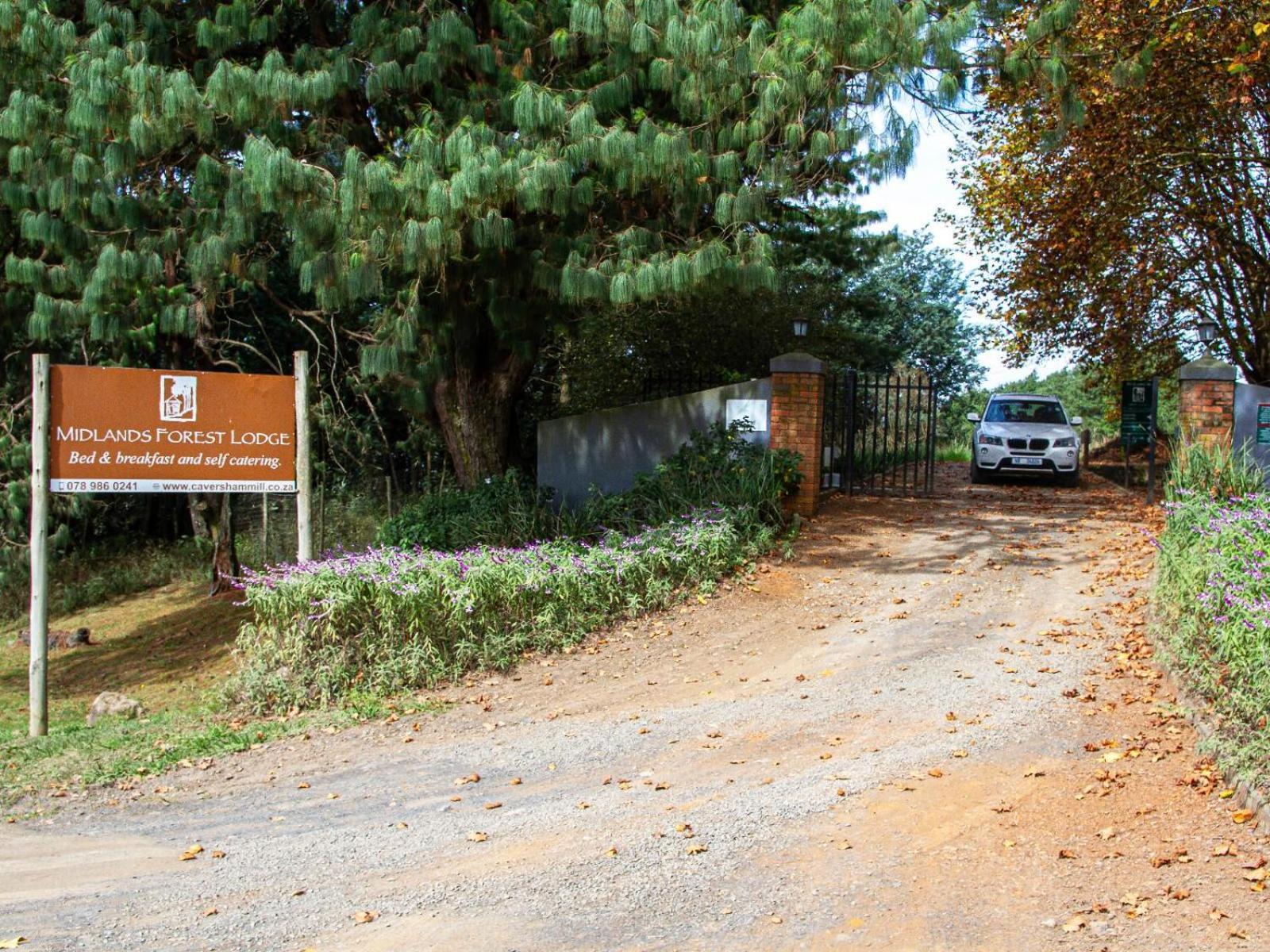 Midlands Forest Lodge Balgowan Extérieur photo
